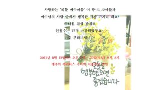 2017년 여 중고 모임 여름 대피정