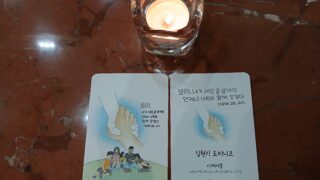 살레시오회 김현기 도미니코 사제 첫 미사