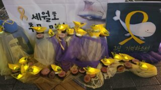 세월호 참사 11주기를 기억하며